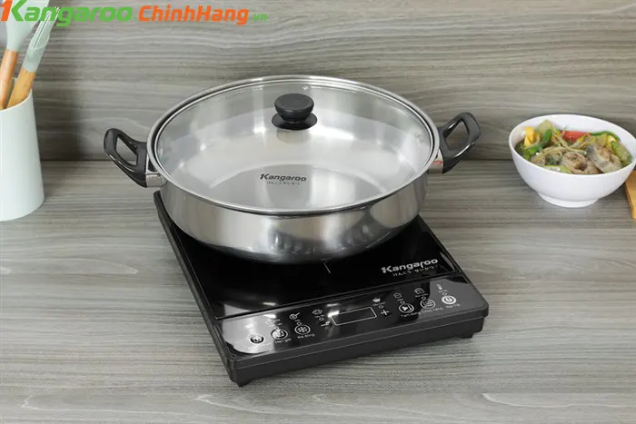 Bếp từ Kangaroo KG18IC1