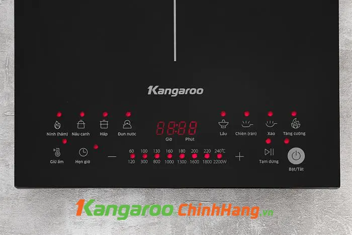 Bếp từ Kangaroo KGIC22S2