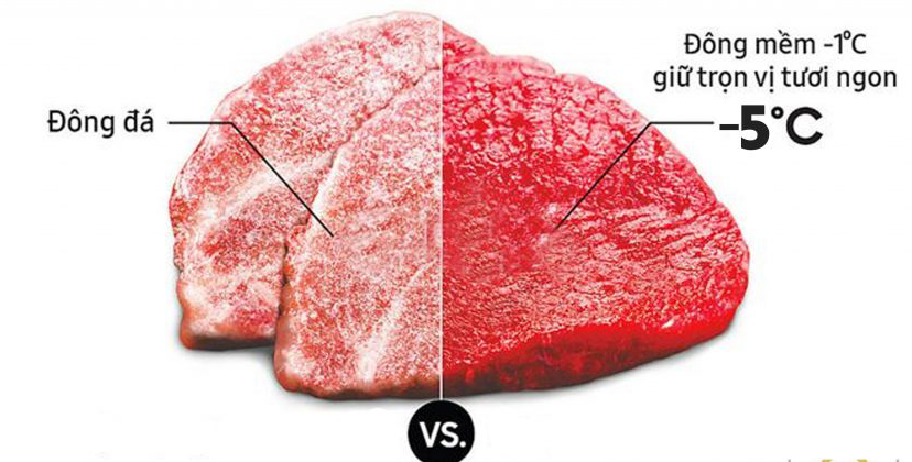 Tủ đông mềm Kangaroo KG268DM1