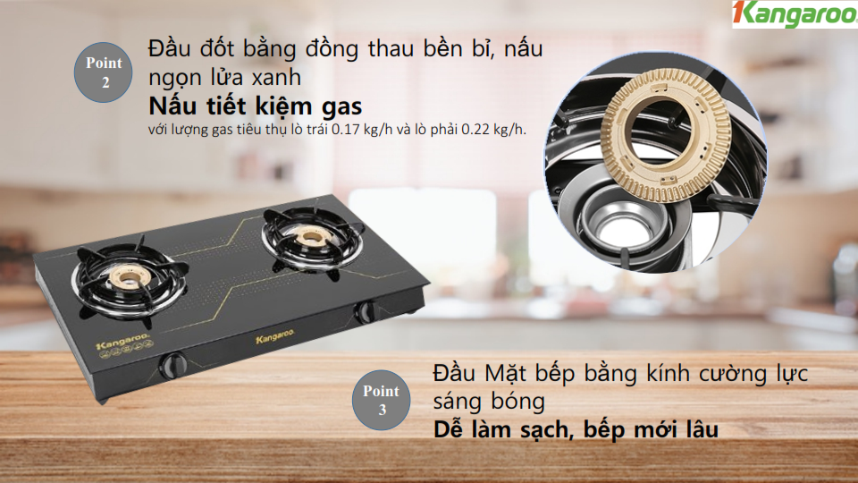 Bếp Gas đôi Kangaroo KG516M 