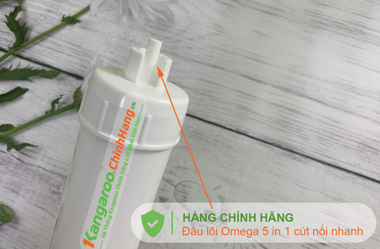 Tem Phần đầu Lõi lọc nước Kangaroo Hydrogen số 10 OMEGA 5 IN 1 (HP)