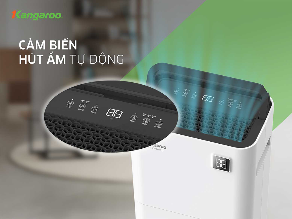 Máy hút ẩm Kangaroo KGDH16
