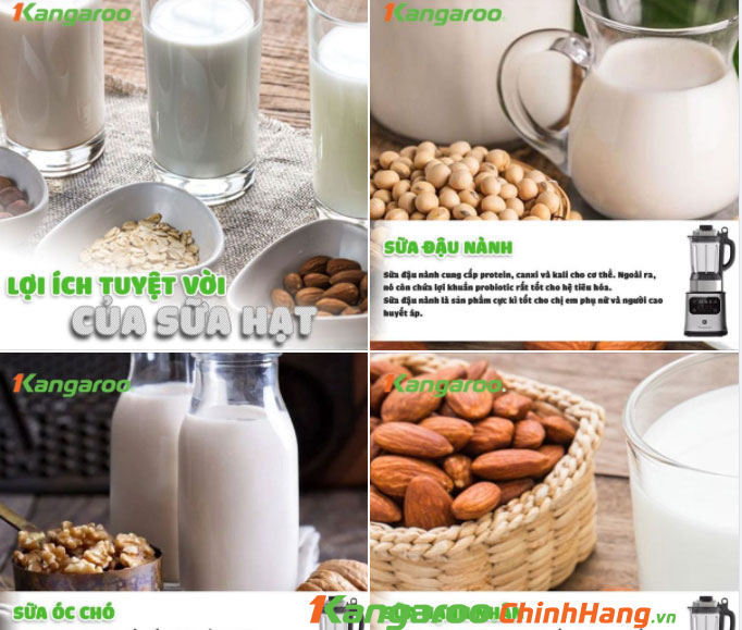 Máy xay nấu đa năng Kangaroo KG175HB1