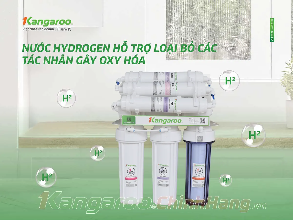 Máy lọc nước Kangaroo Hydrogen KG100ESGUS9