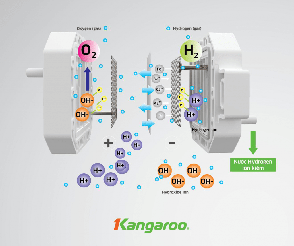 Máy lọc nước Kangaroo Hydrogen ion Kiềm KG-Y1MED