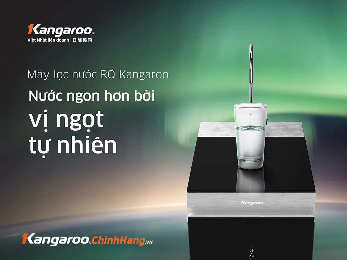 Máy lọc nước KG100N