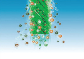 quá trình tuần hoàn diễn ra