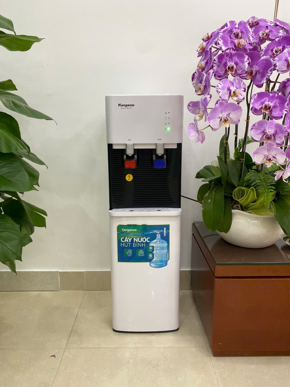 Cây nước nóng lạnh Kangaroo KG49A3 - Hút Bình New 2026