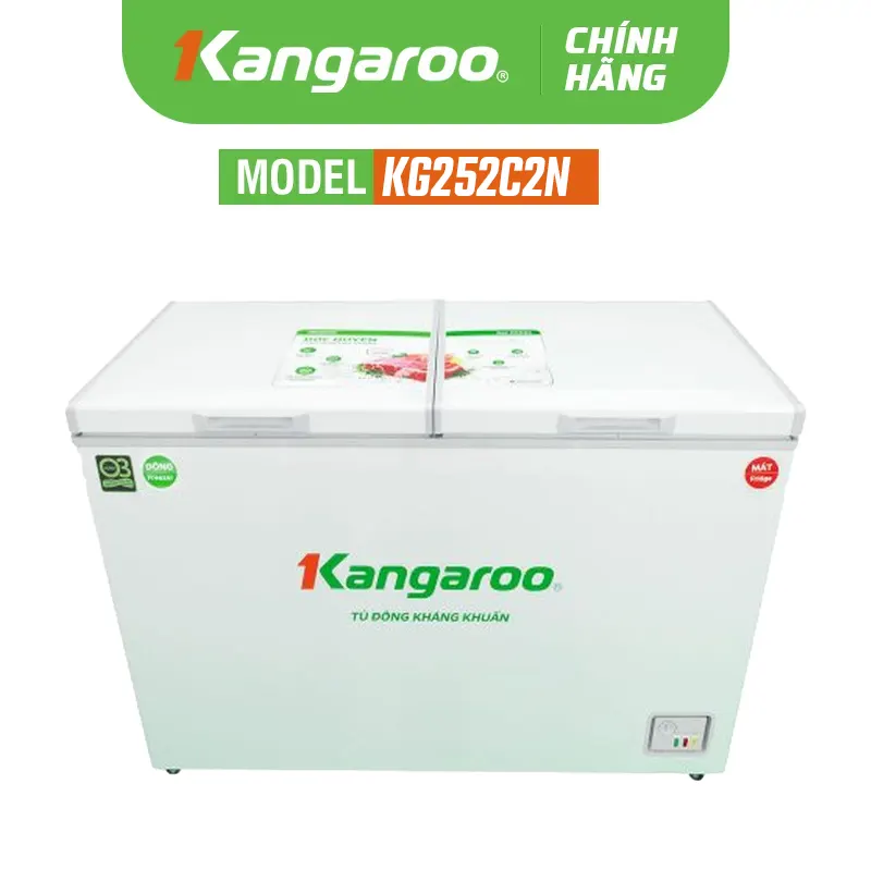 Tủ đông kháng khuẩn KG252C2N - 252 lít