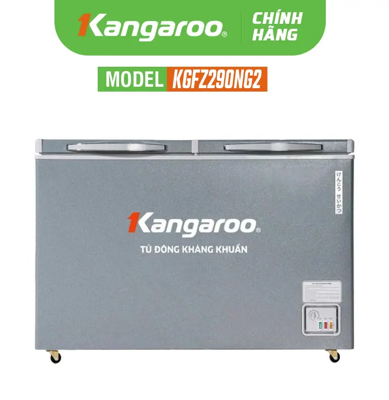 Tủ đông kháng khuẩn KGFZ290NG2 - 230 lít